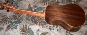 MP Custom Tenor